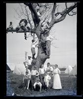 [Group in a tree], Boys Parlors Camp, Wildwood, NJ [graphic].