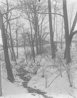 [Footpath through the snow, Wissahickon, Fairmount Park] [graphic].