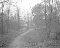 [Dirt trail near Wissahickon Creek, Fairmount Park] [graphic].