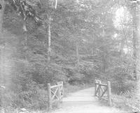 [Wooden bridge walkway, Fairmount Park] [graphic].