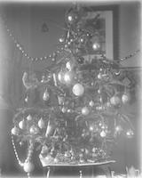 [Christmas tree, interior, 201 Righter Street, Manayunk] [graphic].