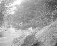 [Wissahickon Creek, Fairmount Park] [graphic].