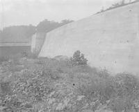 [Cement wall and plants] [graphic].