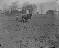 [Man plowing a field with horses] [graphic].