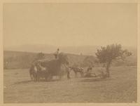 [Hay harvesting.] [graphic] / R.S. Redfield.