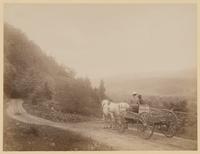 [Wagon on a dirt road] [graphic] / R.S. Redfield.
