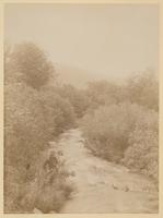 [Boy fishing in a stream] [graphic] / R.S. Redfield.