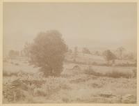 [Landscape view, with ruins of a barn] [graphic] / R.S. Redfield.
