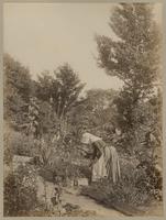 [Woman with bonnet in a garden] [graphic].