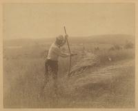[Man harvesting grain with a cradle scythe] [graphic] / R.S. Redfield.