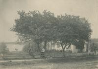 [Three people and a dog resting under trees near a residence] [graphic].