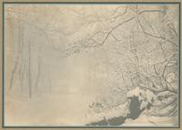 [Snow covered trees and road] [graphic].