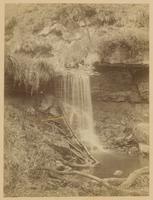 Waterfall in Dipton Burn "at the foot of a tinkling fall." [graphic] \ by J.P. Gibson, Hexham, England