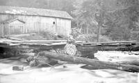 [Bertha T. Webster sitting on a log near a creek] [graphic].