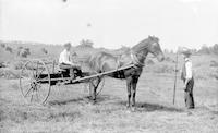 [John H. Webster, Sr., and Albert Webster with a horse-drawn harvester on Stouton farm, Philadelphia, Pa.] [graphic].