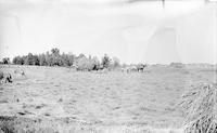 [Men harvesting hay on the Stouton farm, Philadelphia, Pa.] [graphic].