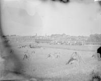 [Men harvesting hay on the Stouton farm, with row homes in the distance, Philadelphia, Pa.] [graphic].