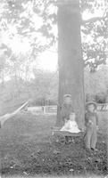 [Three children posing with an Enterprise wagon near a tree] [graphic].