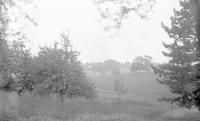 [Unidentified pasture with trees and a farm] [graphic].