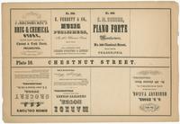 [Unnumbered plate and advertisements from Rae's Philadelphia pictorial directory & panoramic advertiser. Chestnut Street, from Second to Tenth Streets] [graphic].