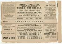 [Plate 3 and advertisements from Rae's Philadelphia pictorial directory & panoramic advertiser. Chestnut Street, from Second to Tenth Streets] [graphic].