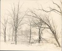 [Landscape in winter west of Frankford Elevated terminal at 69th and Market Streets, Philadelphia] [graphic].