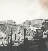 [Behind row houses in Italian and Syrian neighborhood at 10th and Ellsworth Sts., Philadelphia]. [graphic].
