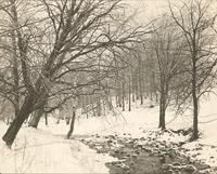 [Cobbs Creek, near the Cobbs Creek Golf Course, Philadelphia] [graphic].