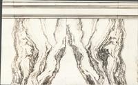 [Philadelphia City Hall, detail of marble in the Common Council Chamber] [graphic].