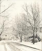 [University of Pennsylvania Botanical Gardens, snow scene along roadway, Philadelphia] [graphic].