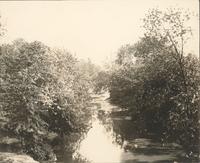 Pennypack Creek -- looking into Pennypack park from the bridge over the creek [graphic].