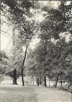 [Landscape with dirt path] [graphic].