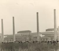 Ladners Point [graphic].