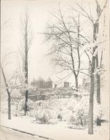 [University of Pennsylvania Botanical Gardens, snow-covered bushes and trees, with dormitory buildings visible in background, Philadelphia] [graphic].
