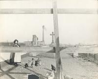 [Woman standing with chickens on roof of building at 10th and Ellsworth Streets, Philadelphia] [graphic].