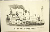 Fate of the radical party. [graphic] / JAL; Am. News Co. Agent N.Y.