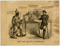 How free ballot is protected. [graphic] / J.E. Baker, del.