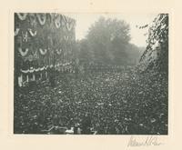 [President Theodore Roosevelt addressing the crowd, Capitol dedication, October 4, 1906.] [graphic].