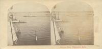 Delaware River, Philadelphia harbor. [graphic] / Langenheim.