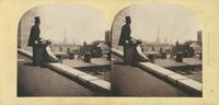 [Rooftop view from New York University on Washington Square looking northeast toward Grace Church, New York] [graphic] / Langenheim.