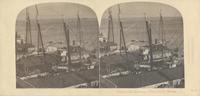 View on the Delaware, Philadelphia harbor. [graphic] / Langenheim.