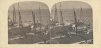 View on the Delaware, Philadelphia harbor. [graphic] / Langenheim.