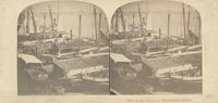 View on the Delaware, Philadelphia harbor. [graphic] / Langenheim.