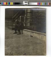 [African American man sitting near a building, probably in Philadelphia] [graphic].