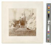 [Photographs of Andalusia, probably Pennsylvania] [graphic].