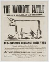 The Mammoth cattle! Gen. G.B. McClellan and Garibaldi. : At the Western Exchange Hotel Yard, Fifteenth and Market Street, Philadelphia. The public are invited to call and examine the most extraordinary pair of cattle ever produced in this or any other con