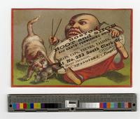 Boston boot and shoe and gents’ furnishing house, also, a fine line of hats, caps, trunks, valises &amp;c. At no. 253 South Clark St., near Jackson, Chicago. L. F. Shanovski, - proprietor. [graphic].
