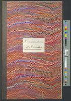 B03F11 - Directors minutes first draft, 1877-05-03-1877-06-07