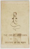 The great anaconda or creature of the woods [graphic]