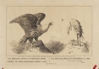 Our national bird as it appeared when handed to James Buchanan. March. 4. 1857 [graphic] : The identical bird as it appeared A.D. 1861. / "I was murdered i' the Capitol." Shakespeare.